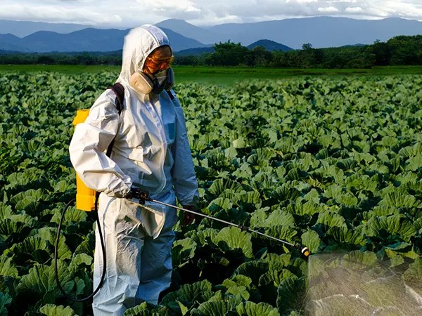 Rimodellare i confini della qualità e dell'innovazione del settore degli spruzzatori