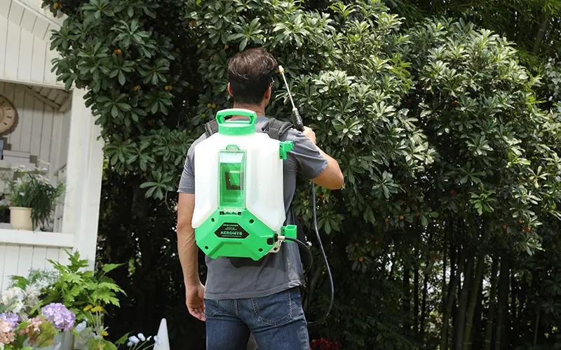 Spruzzatore elettrico